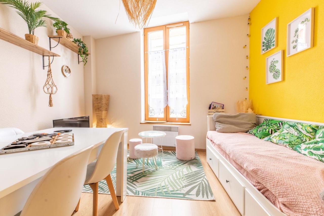 Evasion Centre-Ville 2 A 8 Personnes Clermont-Ferrand Kültér fotó