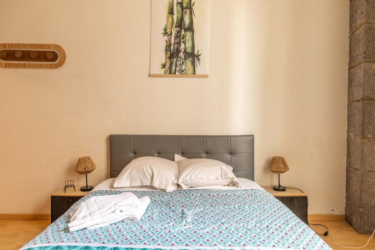 Evasion Centre-Ville 2 A 8 Personnes Clermont-Ferrand Kültér fotó